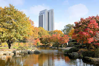 6408 Herbstbume im Japanischen Garten in der Hamburger Innenstadt, Grnanlage Planten un Blomen - Hotelgebude am Dammtor. 