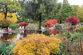6460 Wasserlauf in Planten un Blomen - Holzsthle am Wasser, Zierahorn im Herbst mit roten und gelben Blttern. 