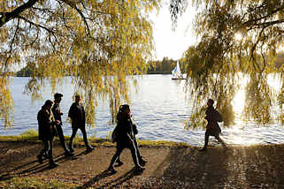 6924 Sonntagsspaziergang im Herbst unter Herbstbumen in der Sonne an der Alster - Alsterufer in Hamburg Winterhude, Bellevue. 