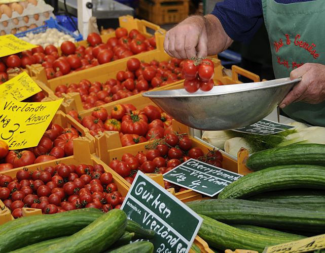 11_21542 Gemsestand auf dem Bergedorfer Wochenmarkt - frisches Vierlnder Gemse liegt in Kisten auf dem Verkaufsstand. Im Vordergrund Vierlnder Gurken, dahinter die leuchtend roten Vierlnder Tomaten. 