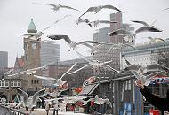 109_5164 | Grauer Winternachmittag im Hamburger Hafen - Touristen fttern Mwen an der Promenade - im Hintergrund der Uhrturm / Pegelturm der St. Pauli Landungsbrcken.