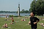 011_25805 | Sonnenbaden auf den Alsterwiesen; ein Alstercabrio fhrt im Hintergrund auf an der Auenalster.