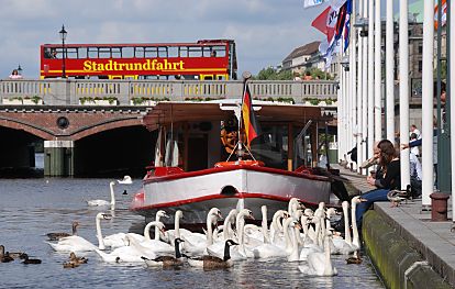 011_25953 |  zwei Touristen sitzen am Ufer und fttern die Schwne, die sich dicht gedrngt um das Futter streiten - eine Barkasse mit Deutschlandfahne hat an der Kaimauer fest gemacht - ein roter Bus der Stadtrundfahrt berquert die Reesendammbrcke. 