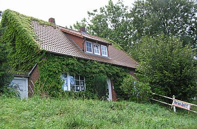 011_25961 | efeubewachsenes Wohnhaus auf dem Elbdeich in Rosengarten (08/2003); rechts im Bild das Schild "Hier kein Abriss"; auch Besitzer von diesem Haus wehren sich gegen die geplante Landebahnverlngerung der Airbuswerke in Hamburg Finkenwerder.