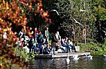 011_25984 | die Stadtparkbesucher sitzen in der Sonne auf dem Anleger am Stadtparksee und fttern die Schwne.