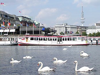 Bilder Hamburg Sehenswrdigkeiten Alster 2002_2398_02