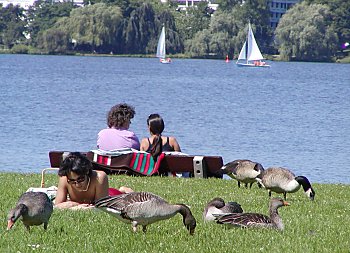 Bilder Hamburg Sehenswrdigkeiten Alster 2002_2398_095