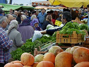 Bilder Hamburg Fischmarkt 