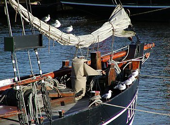 Bilder Hamburg Sehenswrdigkeiten Hafen 2002_7398_09990