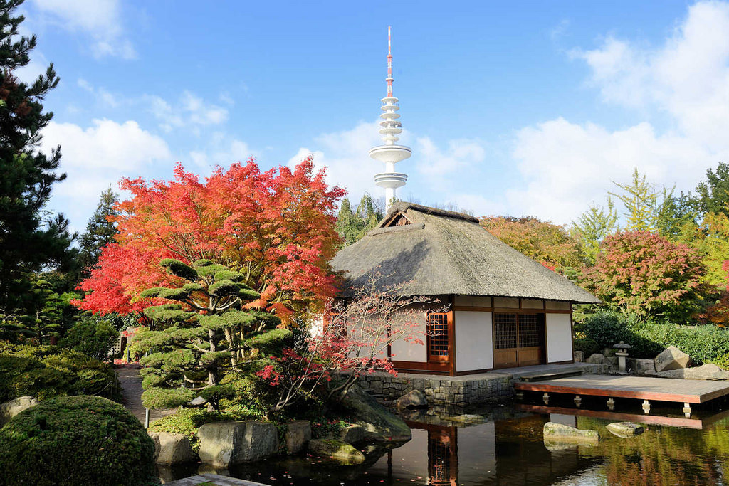 6401 Teehaus im Japanischen Garten von Planten un Blomen in der Hamburger Innenstadt; herbstlich gefrbter Ahorn.