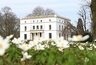 116_2033 | Auf einer Wiese im Jenischpark in Hamburg-Klein Flottbek blhen die weien Waldanemonen - die Buschwindrschen sind ein eindrucksvolles Zeichen des Frhlings - die Bume sind noch kahl. Im Hintergrund das prchtige Jenischhaus;  das klassizistische Landhaus wurde 1834 fertig gestellt - der Architekt war Franz Gustav Forsmann.