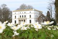 116_2033 | Auf einer Wiese im Jenischpark in Hamburg-Klein Flottbek blhen die weien Waldanemonen - die Buschwindrschen sind ein eindrucksvolles Zeichen des Frhlings - die Bume sind noch kahl. Im Hintergrund das prchtige Jenischhaus;  das klassizistische Landhaus wurde 1834 fertig gestellt - der Architekt war Franz Gustav Forsmann.