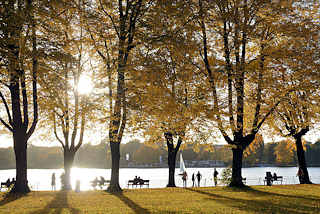 6888 Sonniger Herbst in der Hansestadt Hamburg, Stadtteil Uhlenhorst an der Aussenalster - Herbstbäume mit gelbem Laub, Parkbänke am Wasser. 