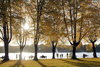 6888 Sonniger Herbst in der Hansestadt Hamburg, Stadtteil Uhlenhorst an der Aussenalster - Herbstbume mit gelbem Laub, Parkbnke am Wasser. 