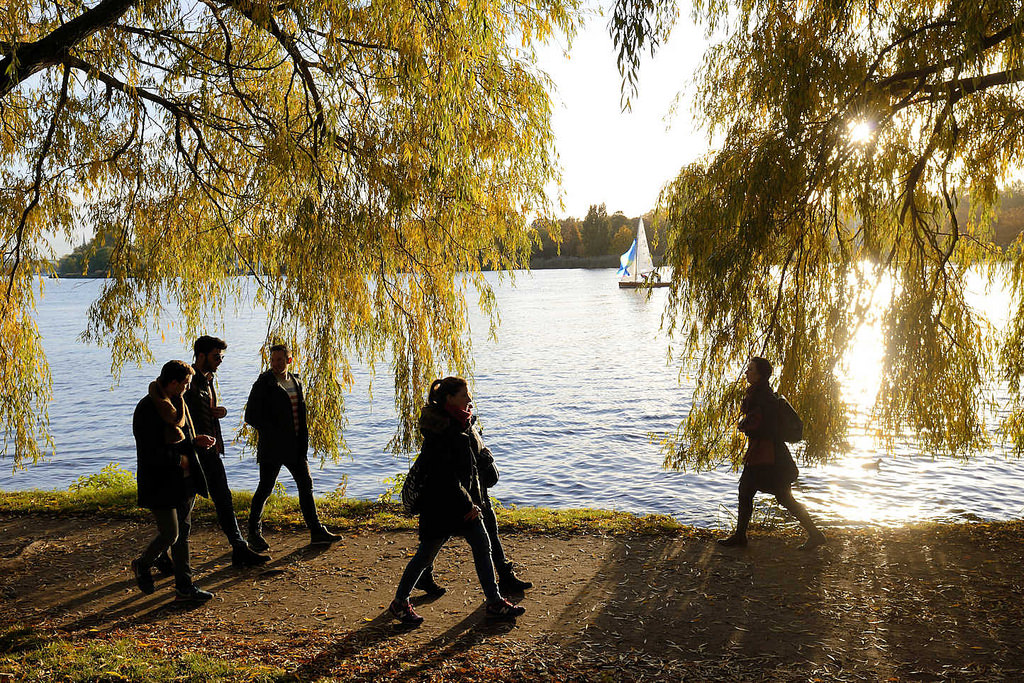 6924 Sonntagsspaziergang im Herbst unter Herbstbäumen in der Sonne an der Alster - Alsterufer in Hamburg Winterhude, Bellevue.