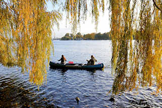 6954 Blick durch die herabhngenden Weidenzweige auf die Aussenalster in Hamburg Winterhude an der Bellevue - ein Kanu fhrt auf dem Wasser in der Herbstsonne. 