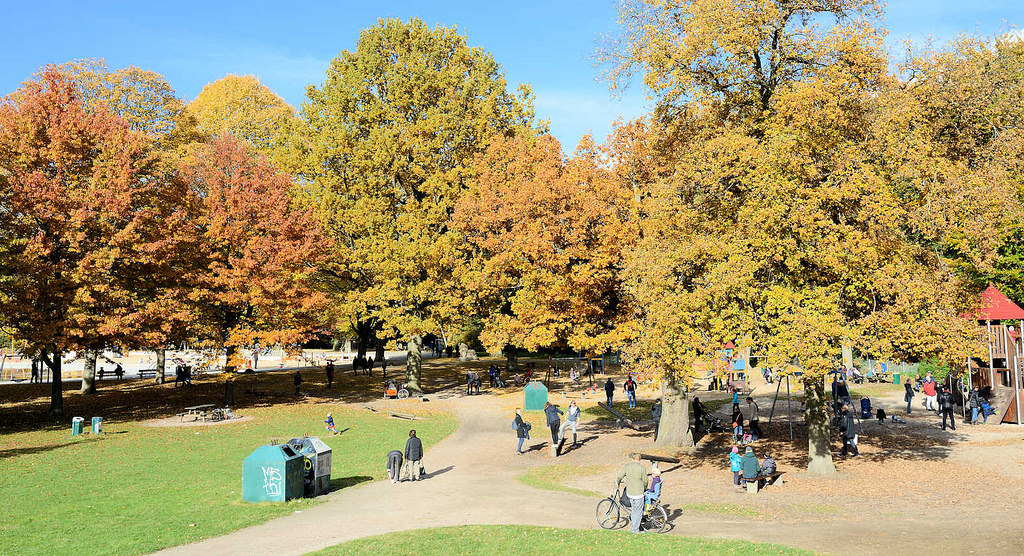 6646 Blick über den Kinderspielplatz beim Planschbecken im Hamburger Stadtpark - hohe Bäume mit bunt gefärbtem Herbstlaub säumen die Wege und den Platz; Kinder spielen in der Sonne.