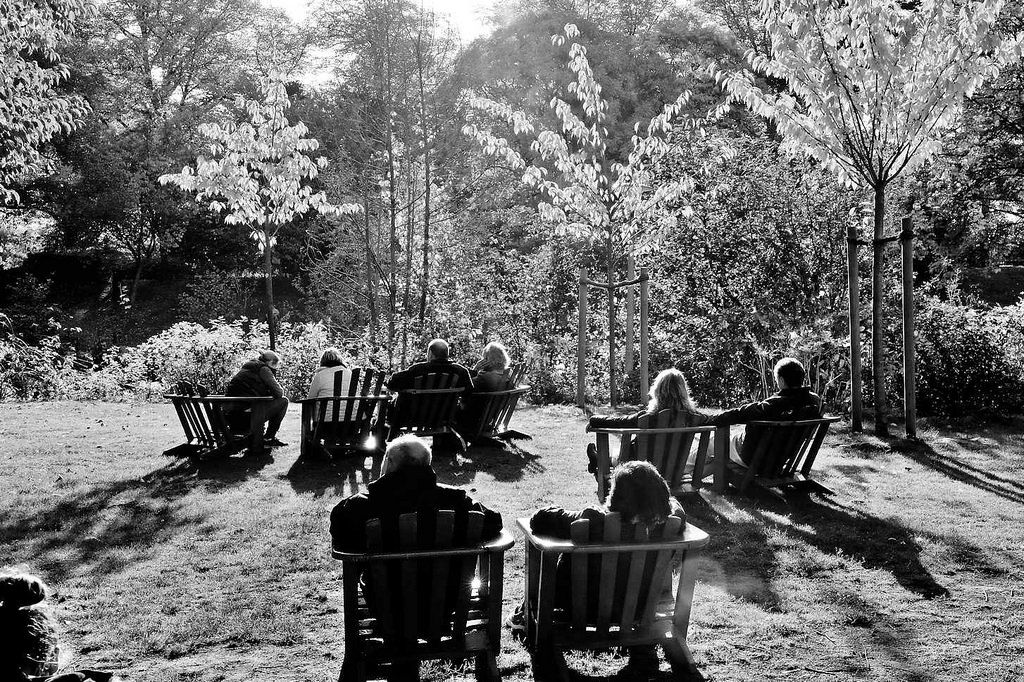 6726 Herbstnachmittag im Hamburger Stadtpark - alle Holzsthle auf der Liebesinsel am Stadtparksee sind besetzt - die BesucherInnen sonnen sich / Schwarz-Wei Aufnahme.