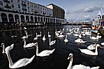 011_25952 | Blick ber die Kleine Alster Richtung Reesendammbrcke; dahinter beginnt die Binnenalster - ein Kanu und eine Barkasse liegen am Alster Kai