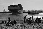 011_26014 |  das Containerschiff CMA CGM CARMEN wird von Schleppern auf der Elbe gedreht, damit der Containerriese rckwrts in den Waltershofer Hafen, der ein Teil des Hamburger Hafen ist, einlaufen kann - am Containerterminal Burchardkai werden die Container an Land gebracht. Im Sand vom Elbstrand sitzen die Hamburger und Hamburgerinnen mit Kindern und geniessen die Szenerie. www.fotograf-hamburg.de