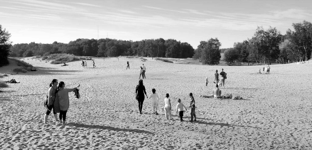 0007 Sommertag in den Boberger Dnen in Hamburg Lohbrgge.