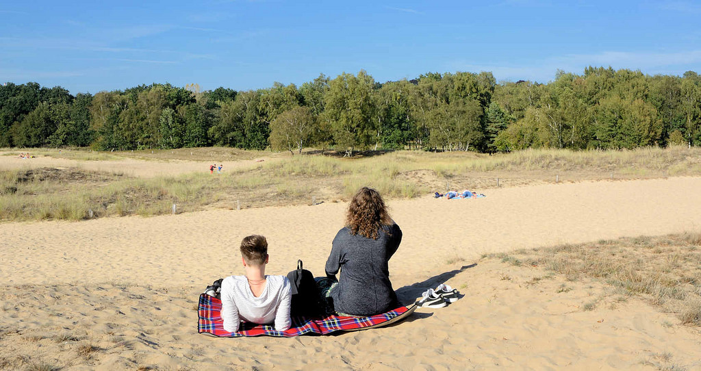 9999 Sommertag in den Boberger Dnen in Hamburg Lohbrgge.