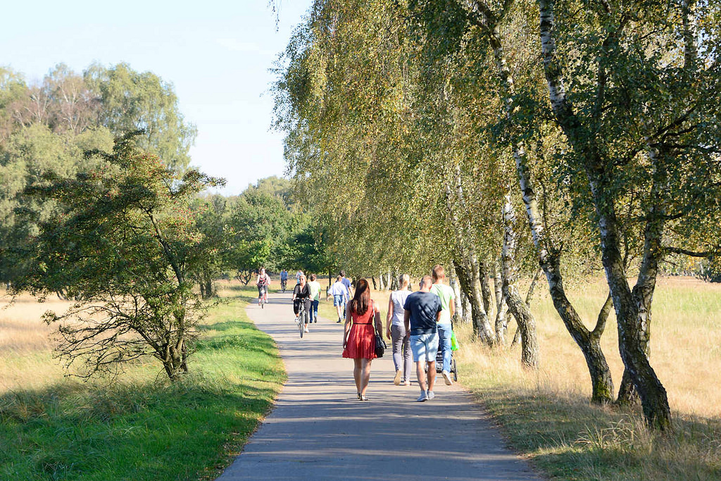 8747 Naherholungsgebiet in Hamburg Lohbrgge - SpaziergngerInnen und RadfahrerInnen auf einem Wanderweg in der Boberger Niederung in Hamburg Lohbrgge.