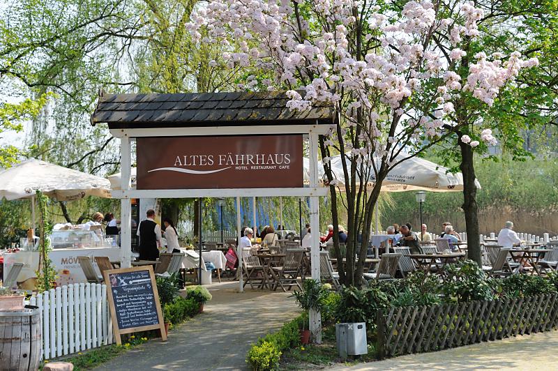 8450_2838 | Die Gste des Gartencaf Altes Fhrhaus sitzen im Freien in der Sonne - eine Japanische Zierkirsche ist in voller Blte - Sonnenschirme sind aufgespannt. Der Obstanbau hat im Alten Land eine lange Tradition - seine Ursprnge liegen im Jahr 1320. Das Alte Land ist ein Teil der Elbmarsch und mit ca. 14 300 Hektar Baumobst ist das Alte Land das grte zusammen hngende Obstanbaugebiet Mitteleuropas; 77 Prozent der Obstbume sind pfel und 12,7 % Kirschen.