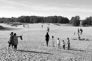 0007 Sommertag in den Boberger Dnen in Hamburg Lohbrgge.