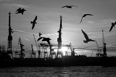 011_25899 | die Hamburger Hafensilhouette in der untergehenden Sonne; die Krane gehren zu der Werft von Blohm&Voss; die Mwen kreisen an den Landungsbrcken.