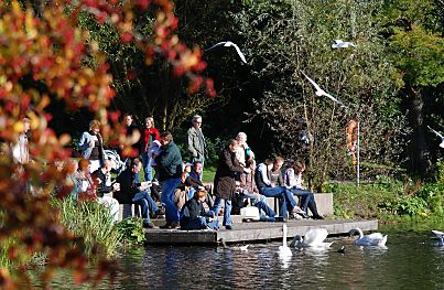 011_25984 | die Stadtparkbesucher sitzen in der Sonne auf dem Anleger am Stadtparksee und füttern die Schwäne.
